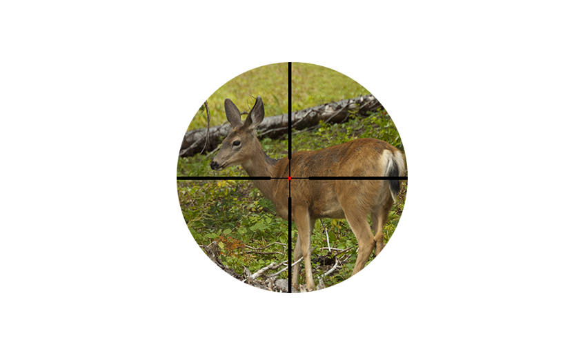 integrated targeting laser